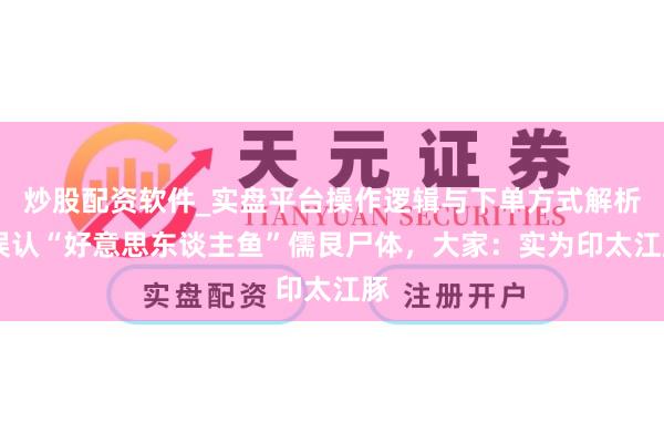 炒股配资软件_实盘平台操作逻辑与下单方式解析 误认“好意思东谈主鱼”儒艮尸体，大家：实为印太江豚